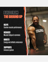 The Heal L Glutamine