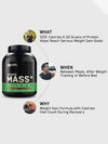 (ON) Serious Mass High Protein High Calorie Weight Gainer