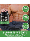 (ON) Serious Mass High Protein High Calorie Weight Gainer